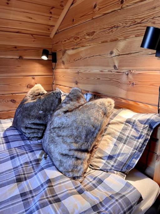 Tradisjonell Laftet Hytte Vradal Buitenkant foto